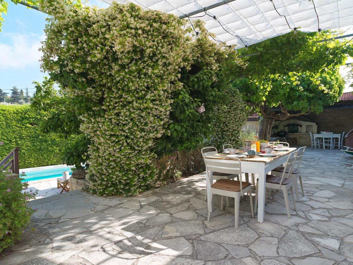 Villa Avgoustis Pachna Exteriér fotografie